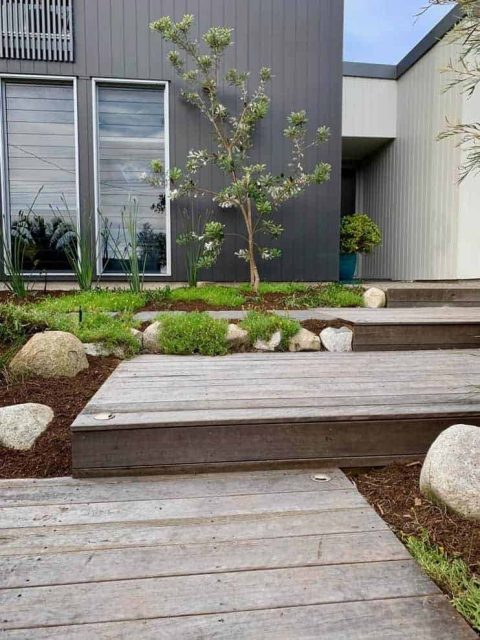 Peregian Beach Landscaper – Native Coastal Garden