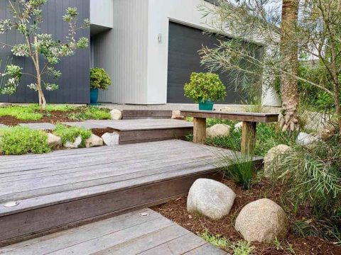 Peregian Beach Landscaper – Native Coastal Garden