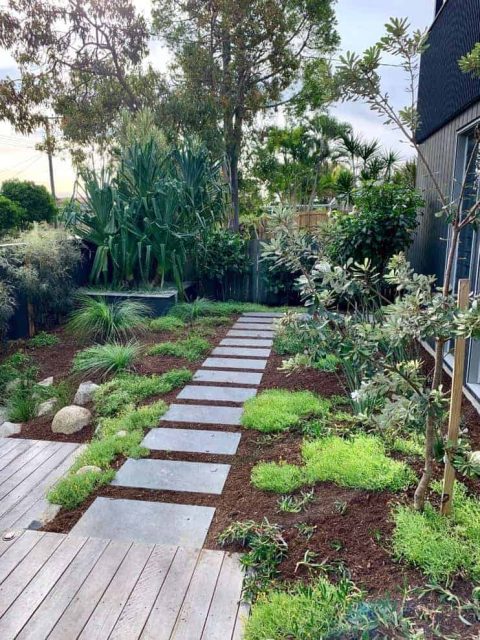 Peregian Beach Landscaper – Native Coastal Garden