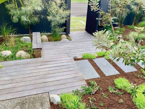 Peregian Beach Landscaper – Native Coastal Garden