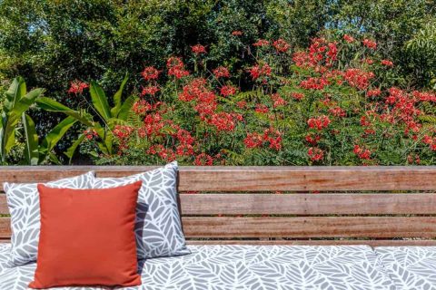 Sunhsine Beach Residential Bush Garden Makeover with Decking