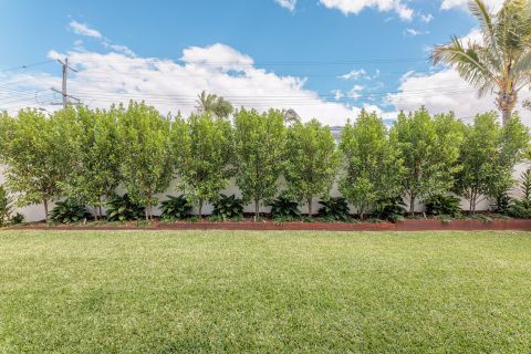 Sunshine Beach Landscaping Services