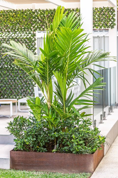 Sunshine Beach Landscaping Services