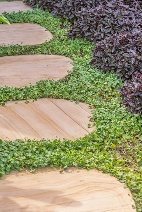 Sunshine Beach Landscaping Services