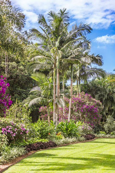 Earth Creation Landscapes – Doonan Residential Landscaper