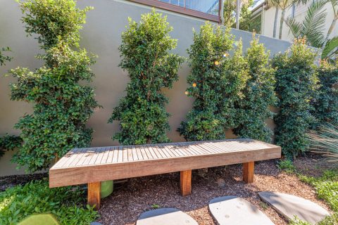 Earth Creation Landscapes - Enterprise Street Sunshine Beach