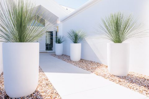 Noosa Waters Seascout Circuit Landscape Project