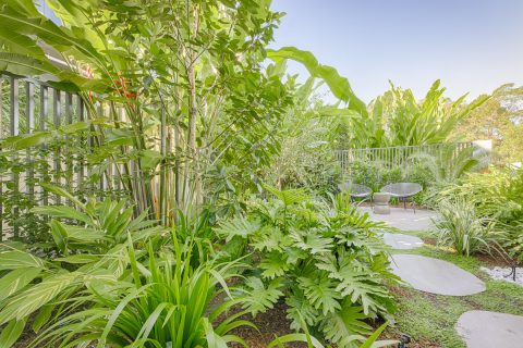 Parkridge Noosa Heads Mini Garden Make-Over
