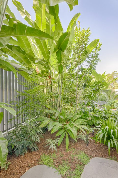 Parkridge Noosa Heads Mini Garden Make-Over