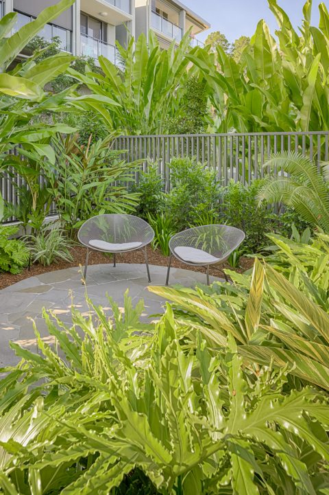 Parkridge Noosa Heads Mini Garden Make-Over