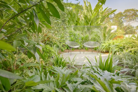 Parkridge Noosa Heads Mini Garden Make-Over