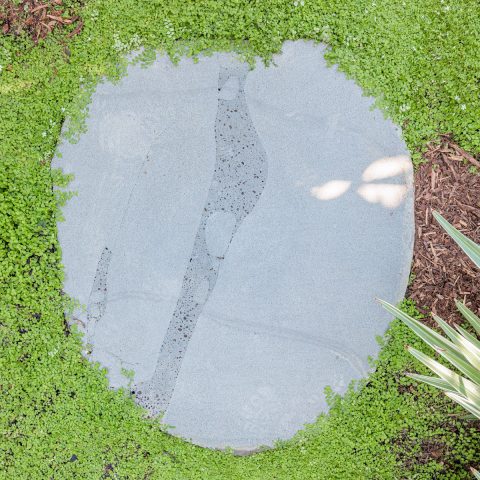 Parkridge Noosa Heads Mini Garden Make-Over