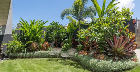 Stevens Street Sunshine Beach Lanscape Project